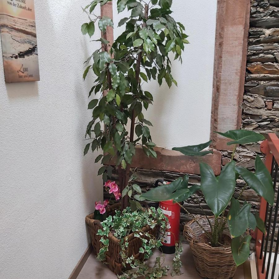 Apartament Kleine Altstadt Oase Bernkastel-Kues Zewnętrze zdjęcie